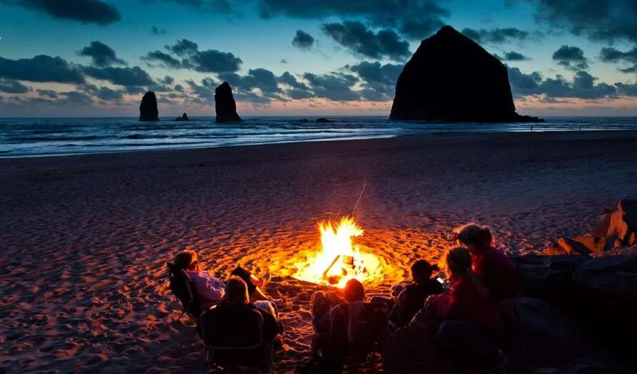 Image result for beach campfire