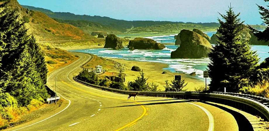 Us Highway 101 