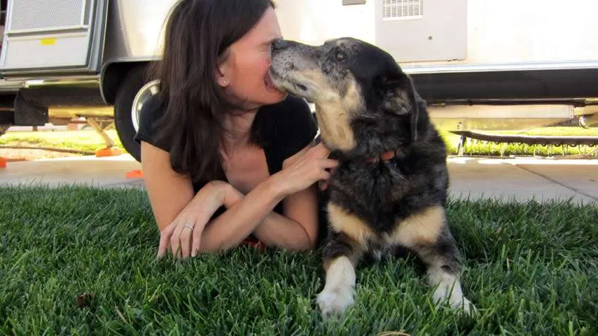 a young brunette woman lies in the grass kissing a black dog with white snout