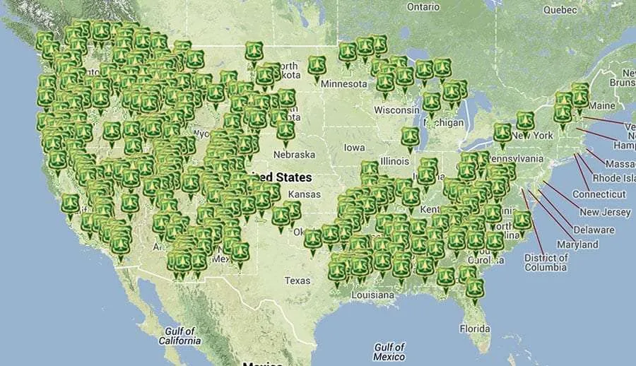 national forest map