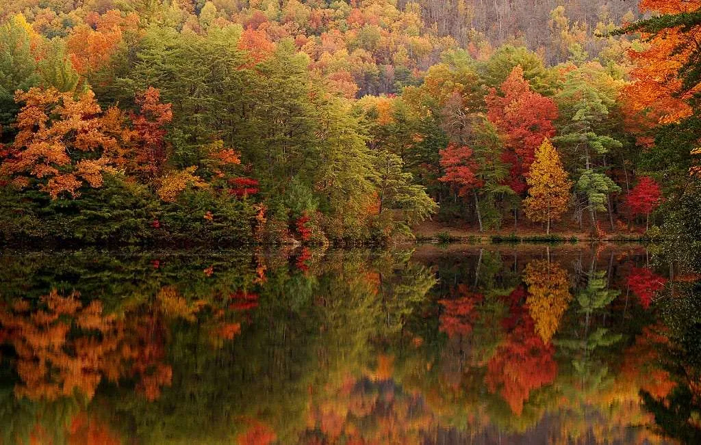 autumn leaves reflecting off of a lake so perfectly it would be impossible to tell the difference if you flipped the photo