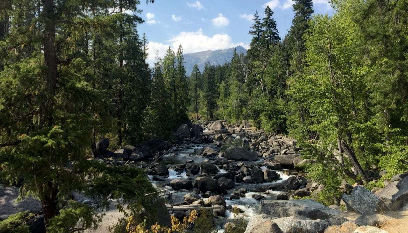 Old Growth National Forest Campgrounds Of The Pacific Northwest On Wand Rly