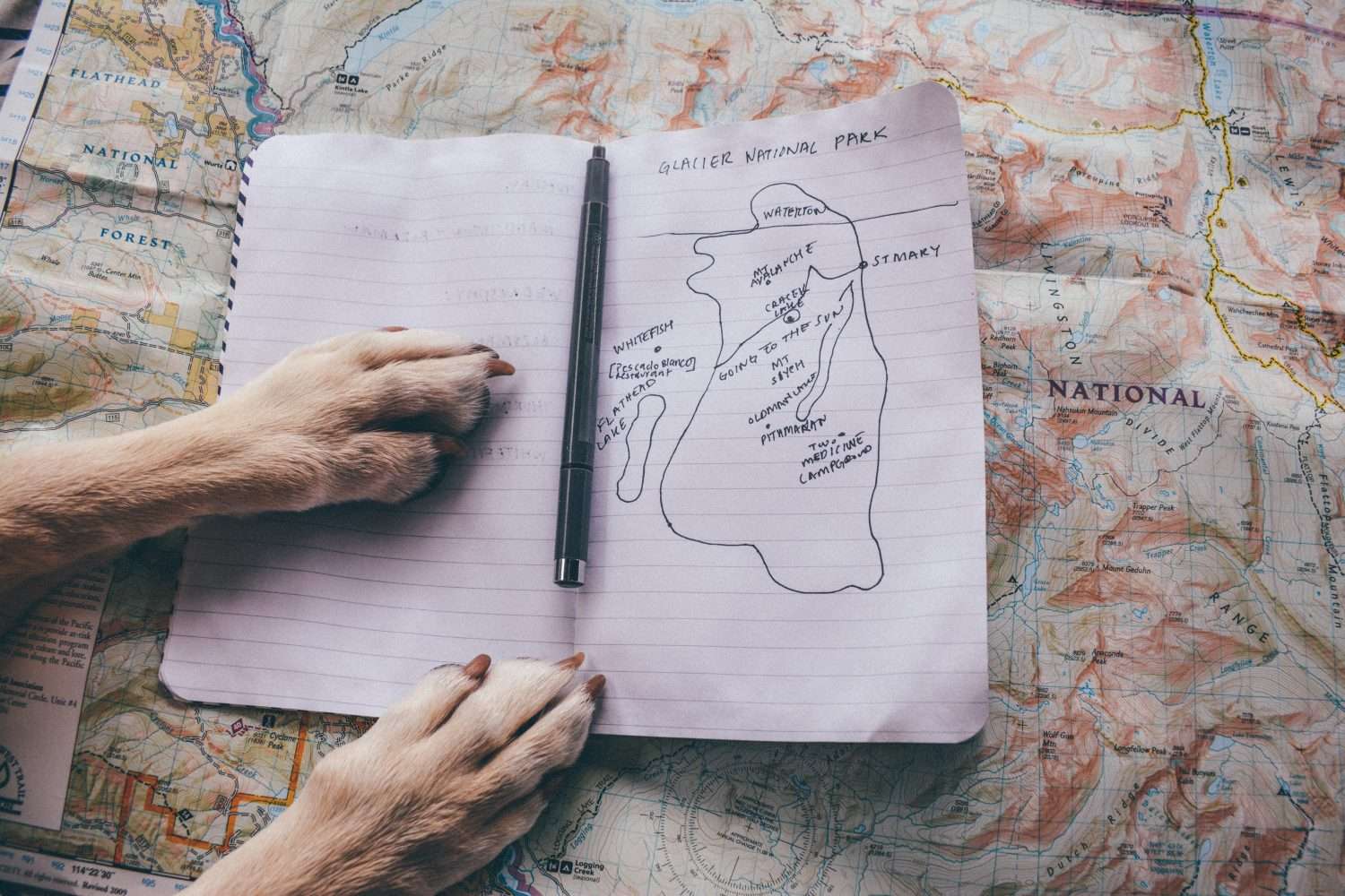 a dog's paws pressed against a handdrawn map of glacier national park