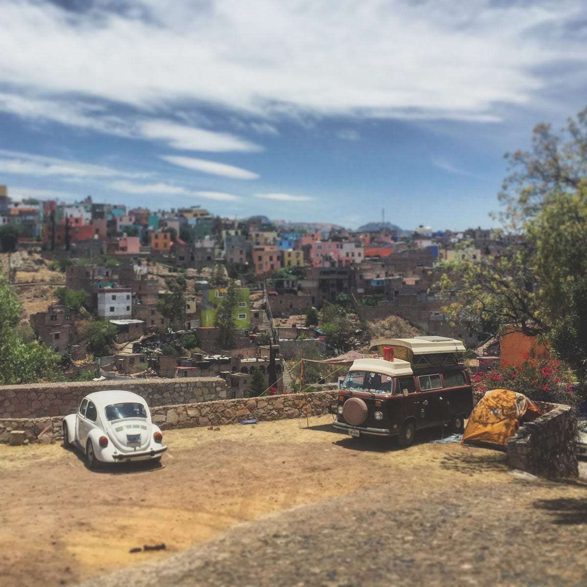 a vw bus and a vw beetle parked above guanajuato