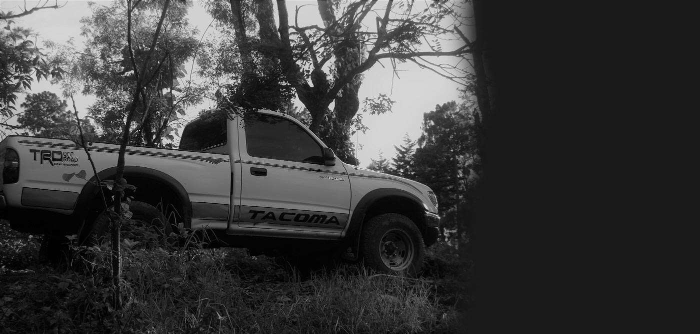 an old toyota pickup, black and white, in a forest