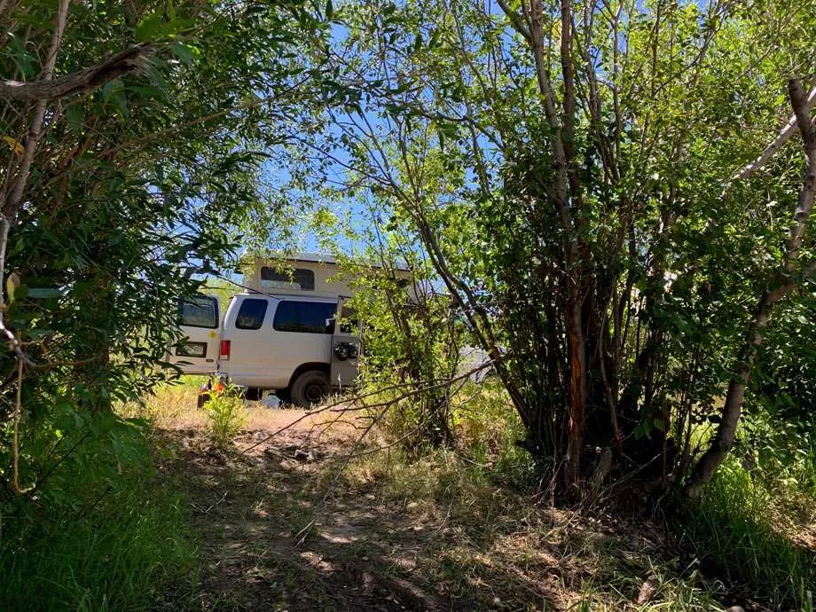 a glimpse of a van through willow trees