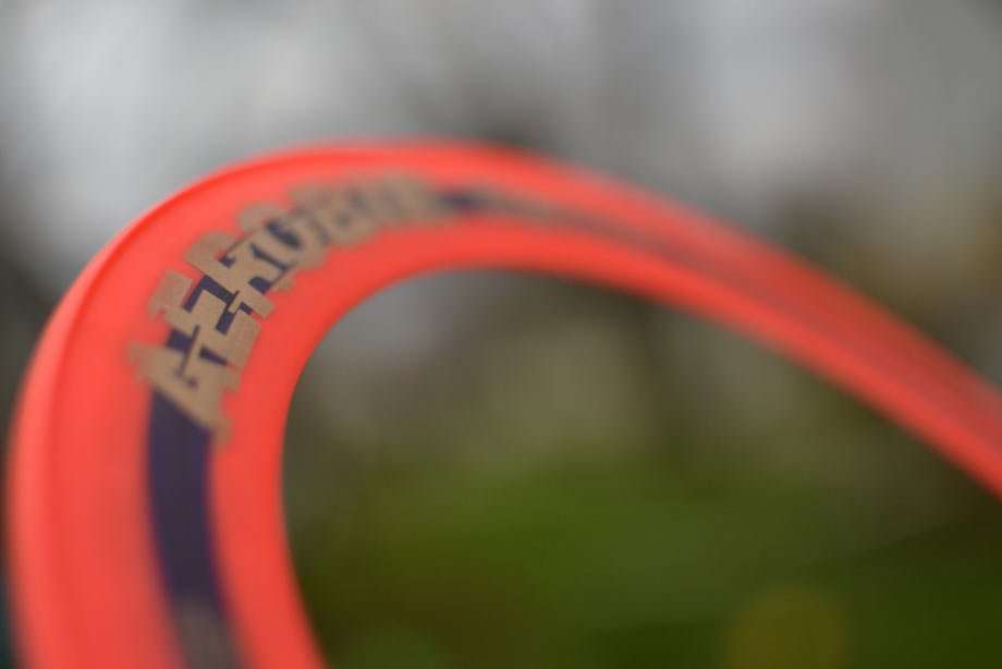 a ring of a frisbee