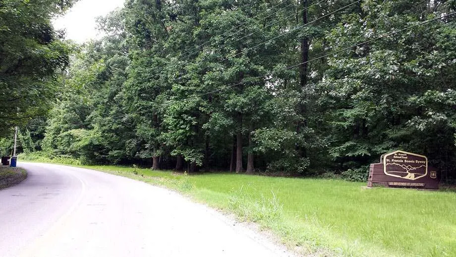 a smooth road traverses thick hardwood forests