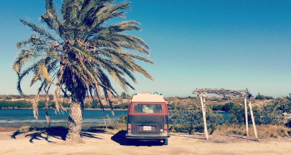 A 1978 Volkswagen Bus parked between a palm tree and a palapa in Baja California, Mexico