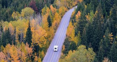 an rv driving through an autumn forest on a lonely road